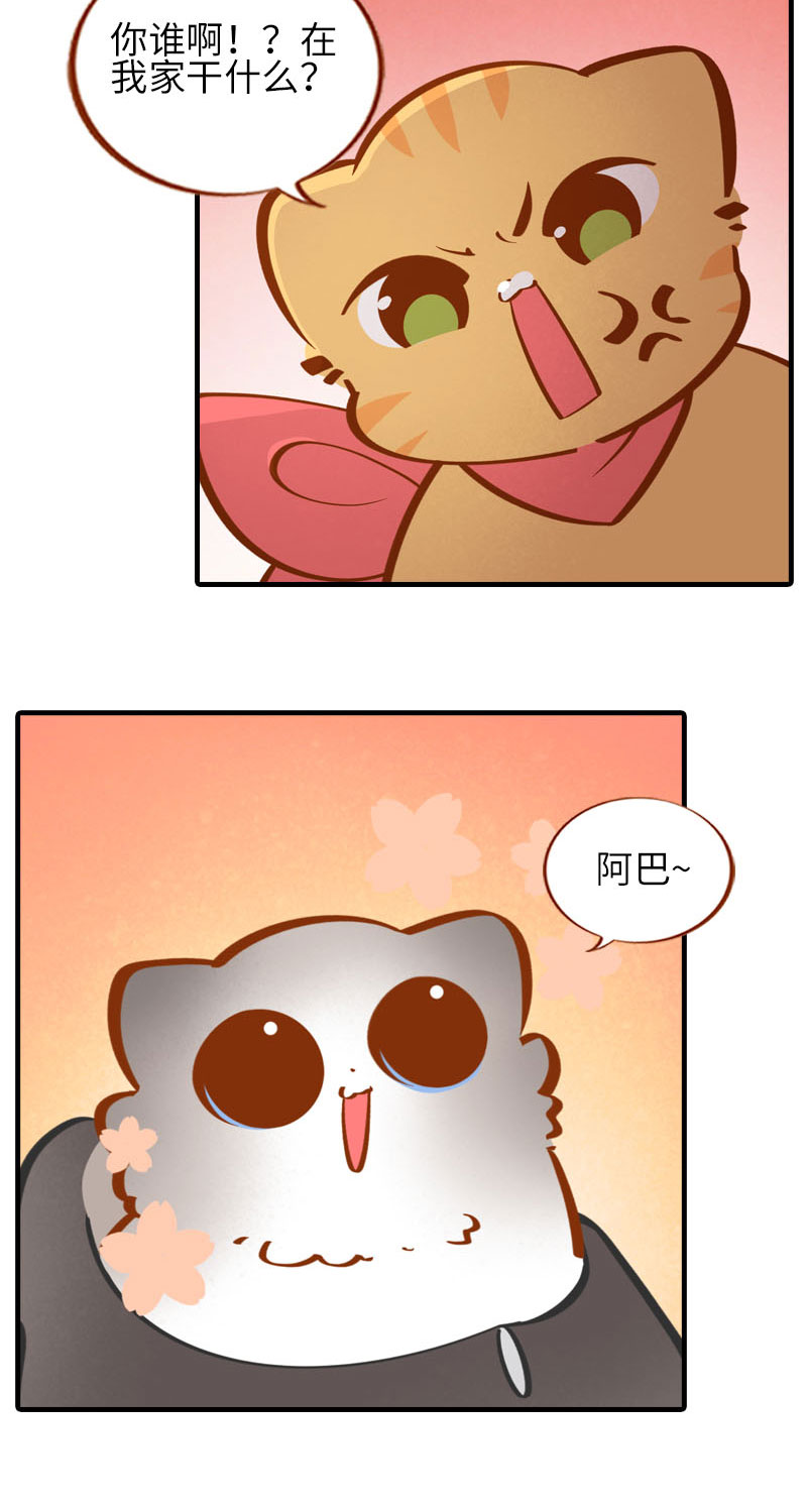 《猫咪的人类饲养指南》第36话 橘子！地位不保？！ 第4页