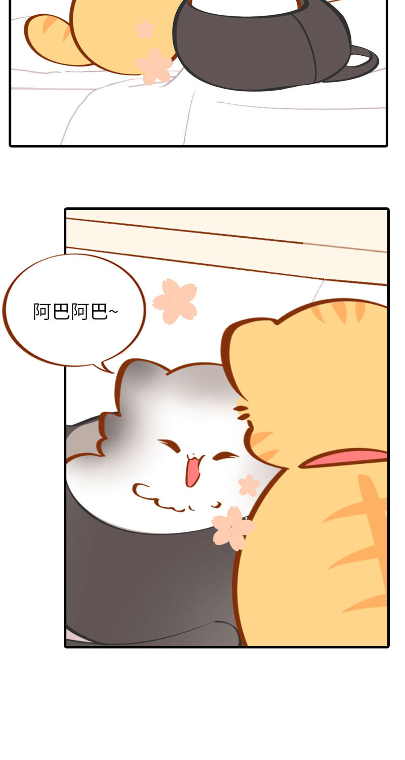 《猫咪的人类饲养指南》第36话 橘子！地位不保？！ 第6页