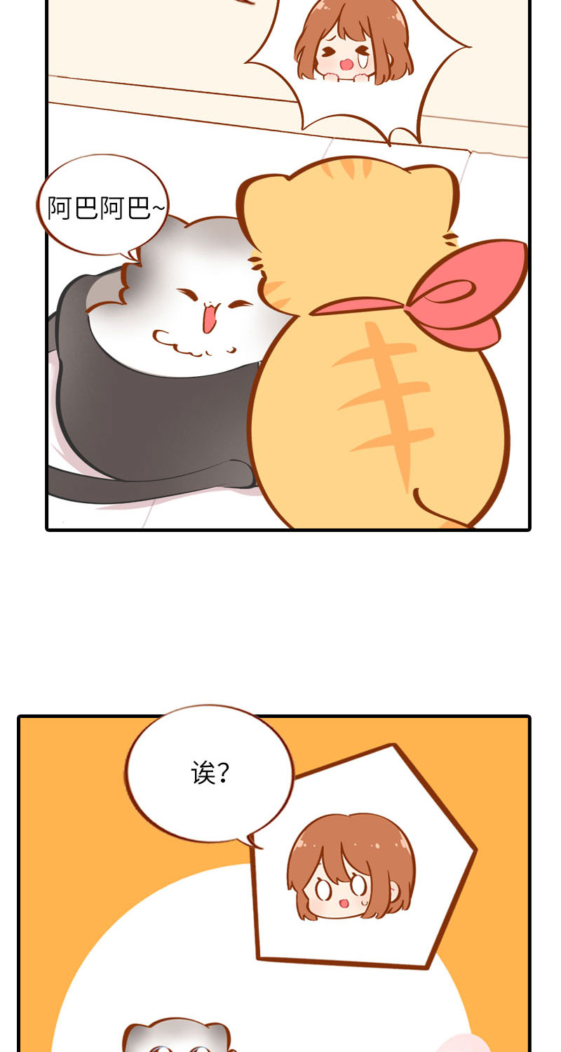 《猫咪的人类饲养指南》第36话 橘子！地位不保？！ 第9页