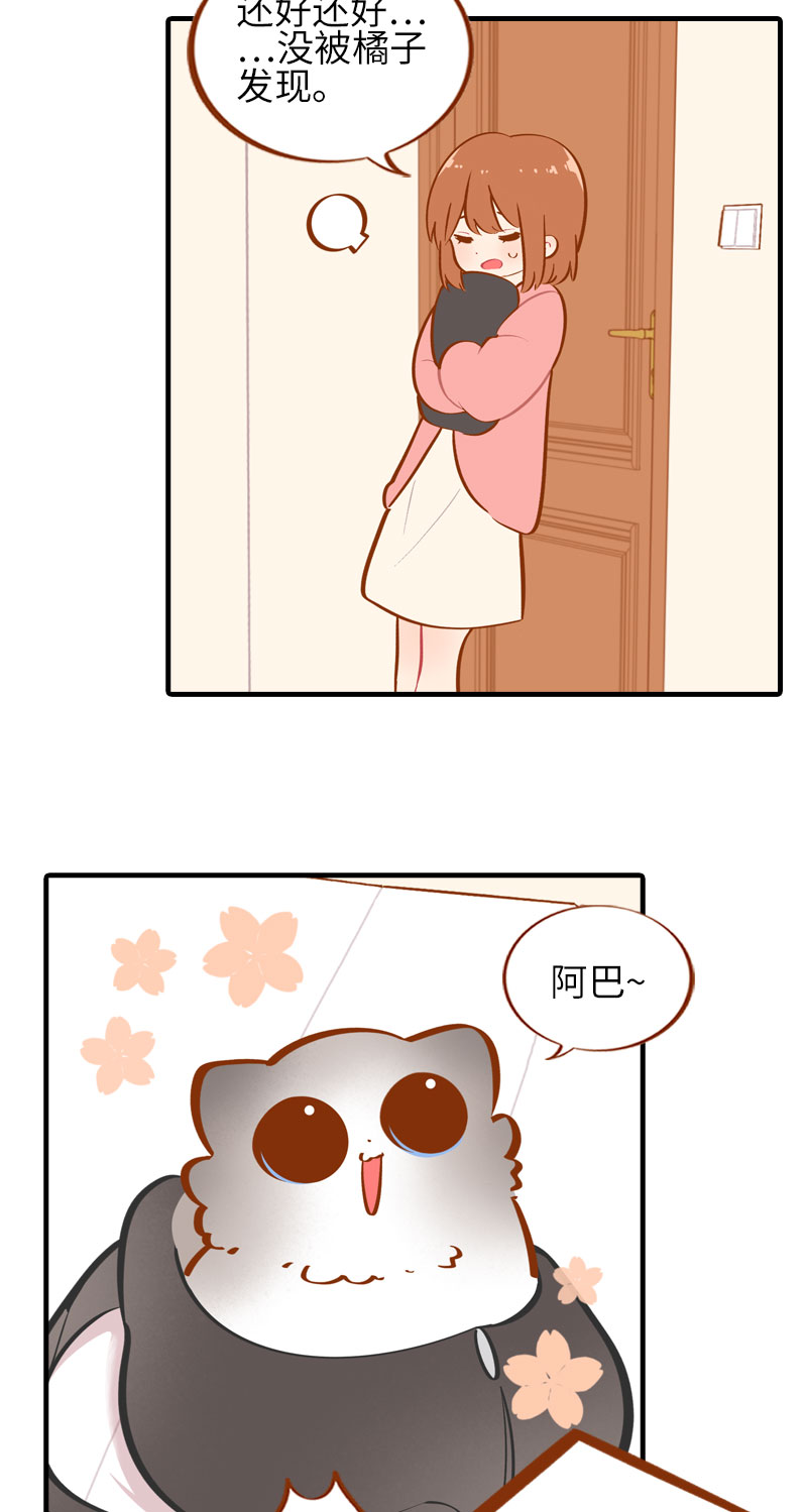 《猫咪的人类饲养指南》第35话 橘子和阿巴巴的初次见面 第5页