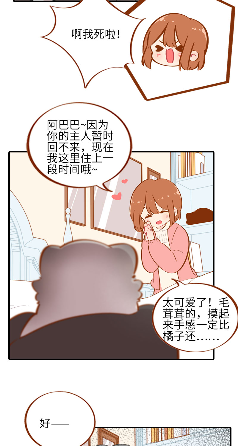 《猫咪的人类饲养指南》第35话 橘子和阿巴巴的初次见面 第6页