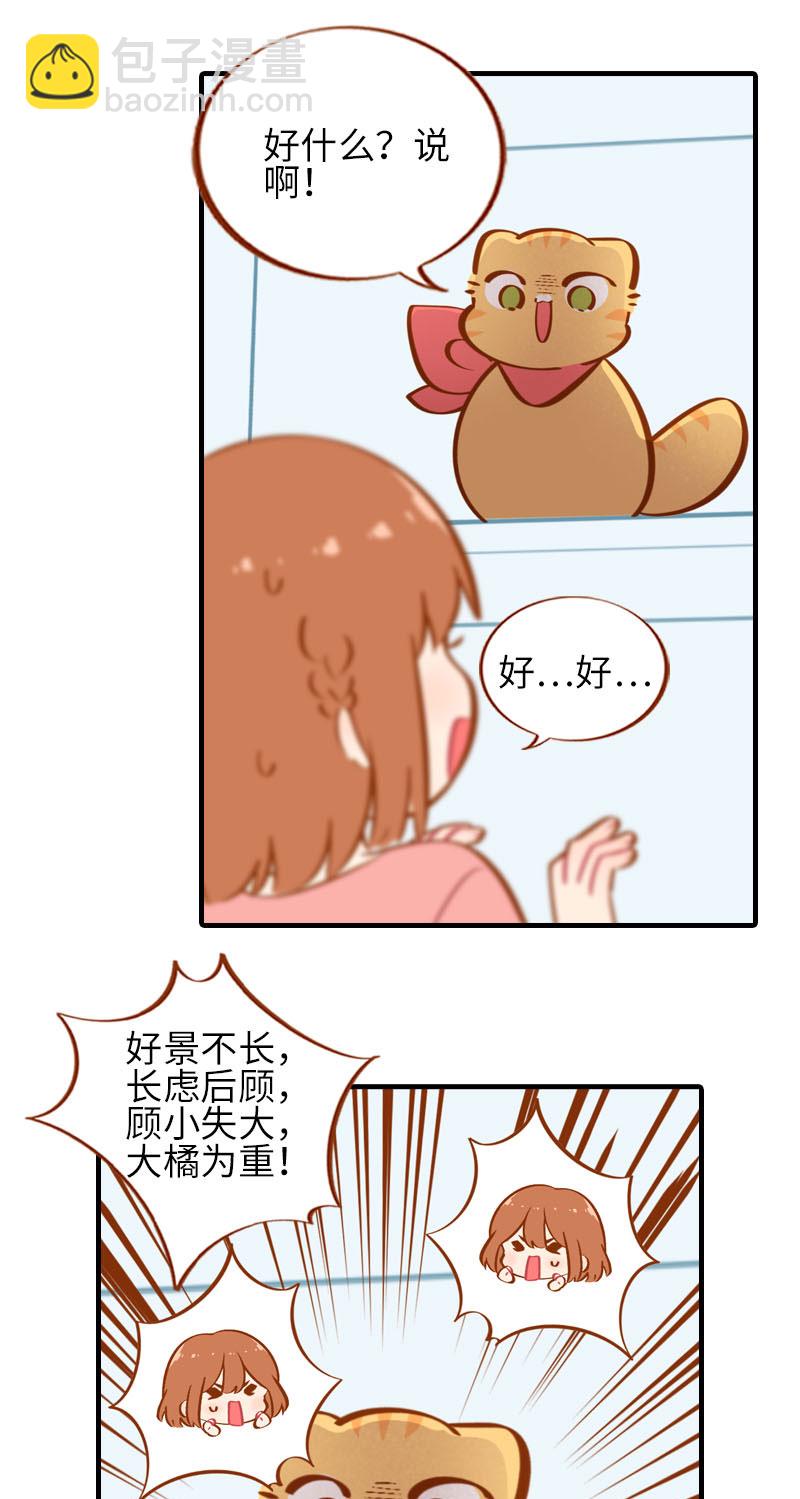 《猫咪的人类饲养指南》第35话 橘子和阿巴巴的初次见面 第8页