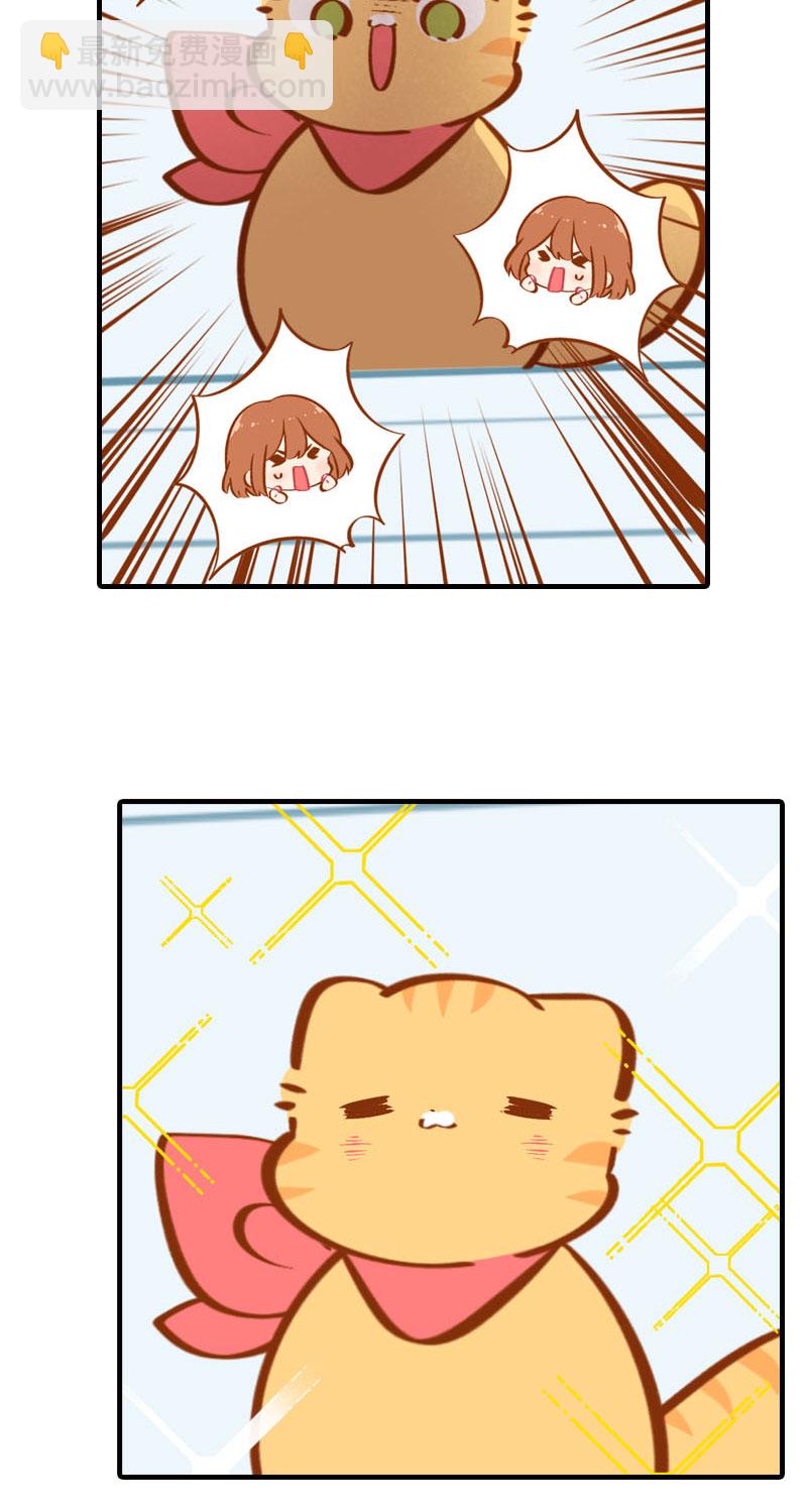 《猫咪的人类饲养指南》第35话 橘子和阿巴巴的初次见面 第9页