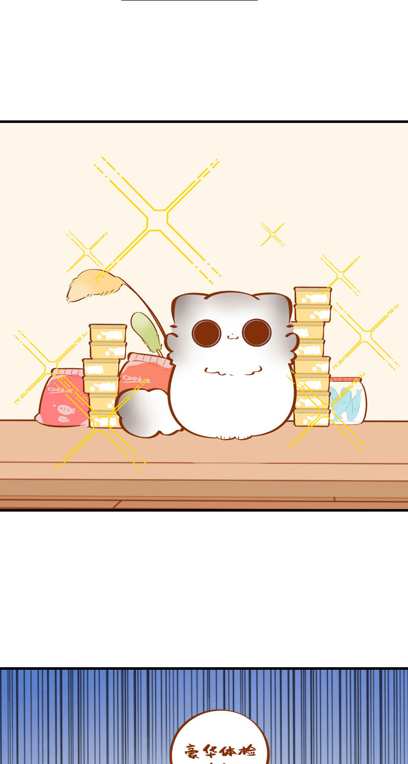 《猫咪的人类饲养指南》第38话 抽个盲盒 第10页