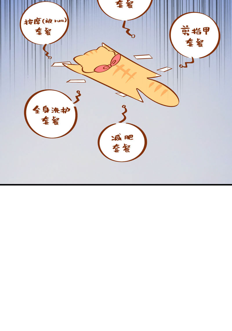 《猫咪的人类饲养指南》第38话 抽个盲盒 第11页
