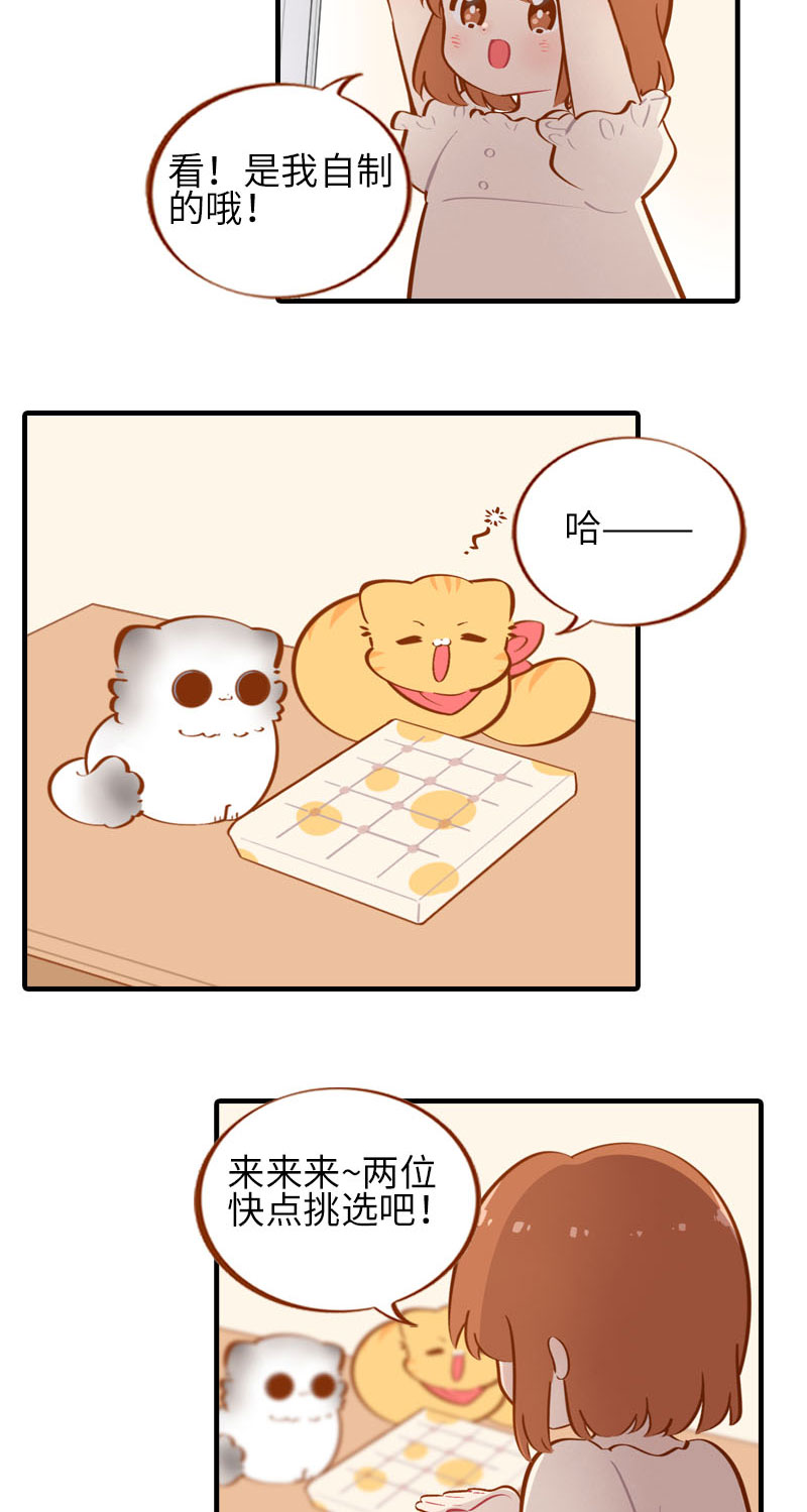 《猫咪的人类饲养指南》第38话 抽个盲盒 第3页