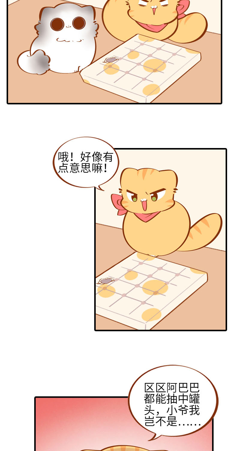 《猫咪的人类饲养指南》第38话 抽个盲盒 第5页