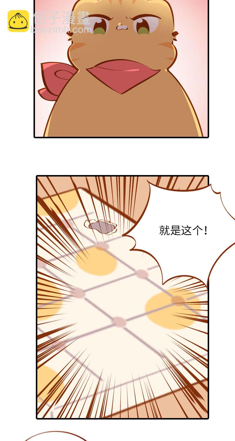 《猫咪的人类饲养指南》第38话 抽个盲盒 第6页