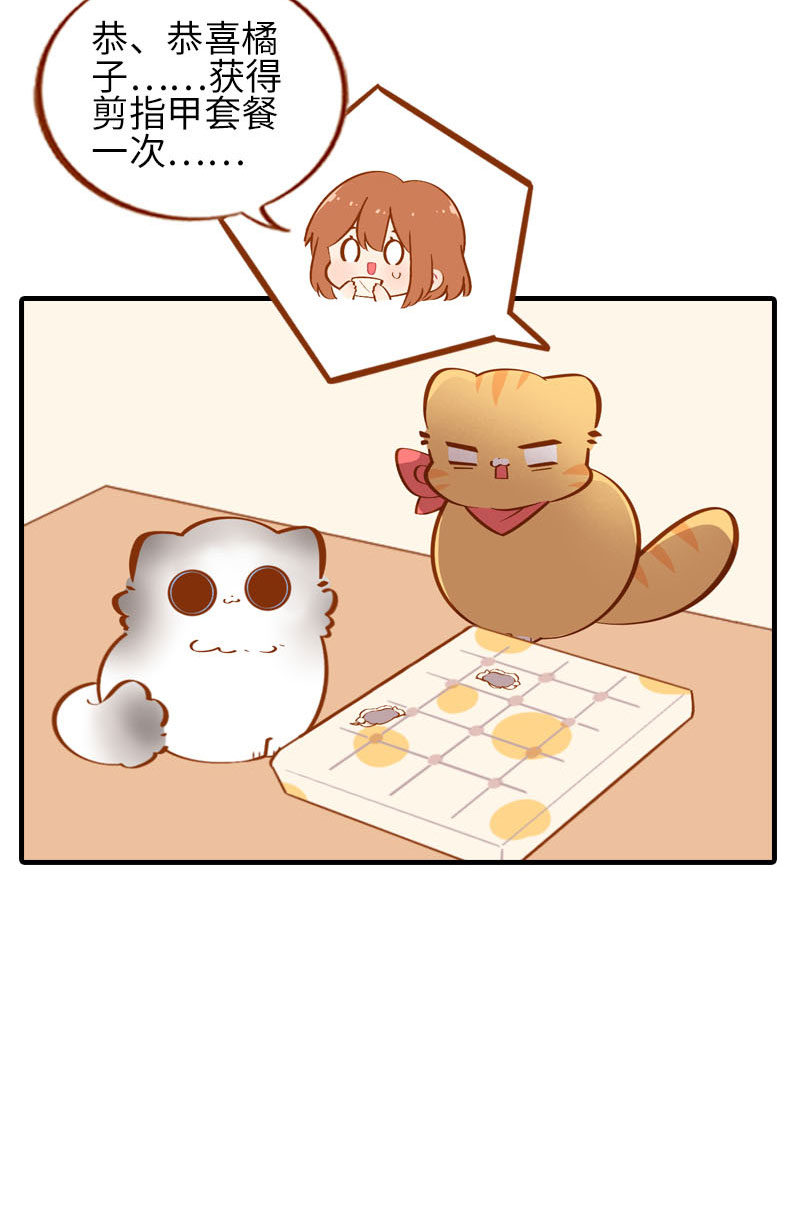 《猫咪的人类饲养指南》第38话 抽个盲盒 第7页