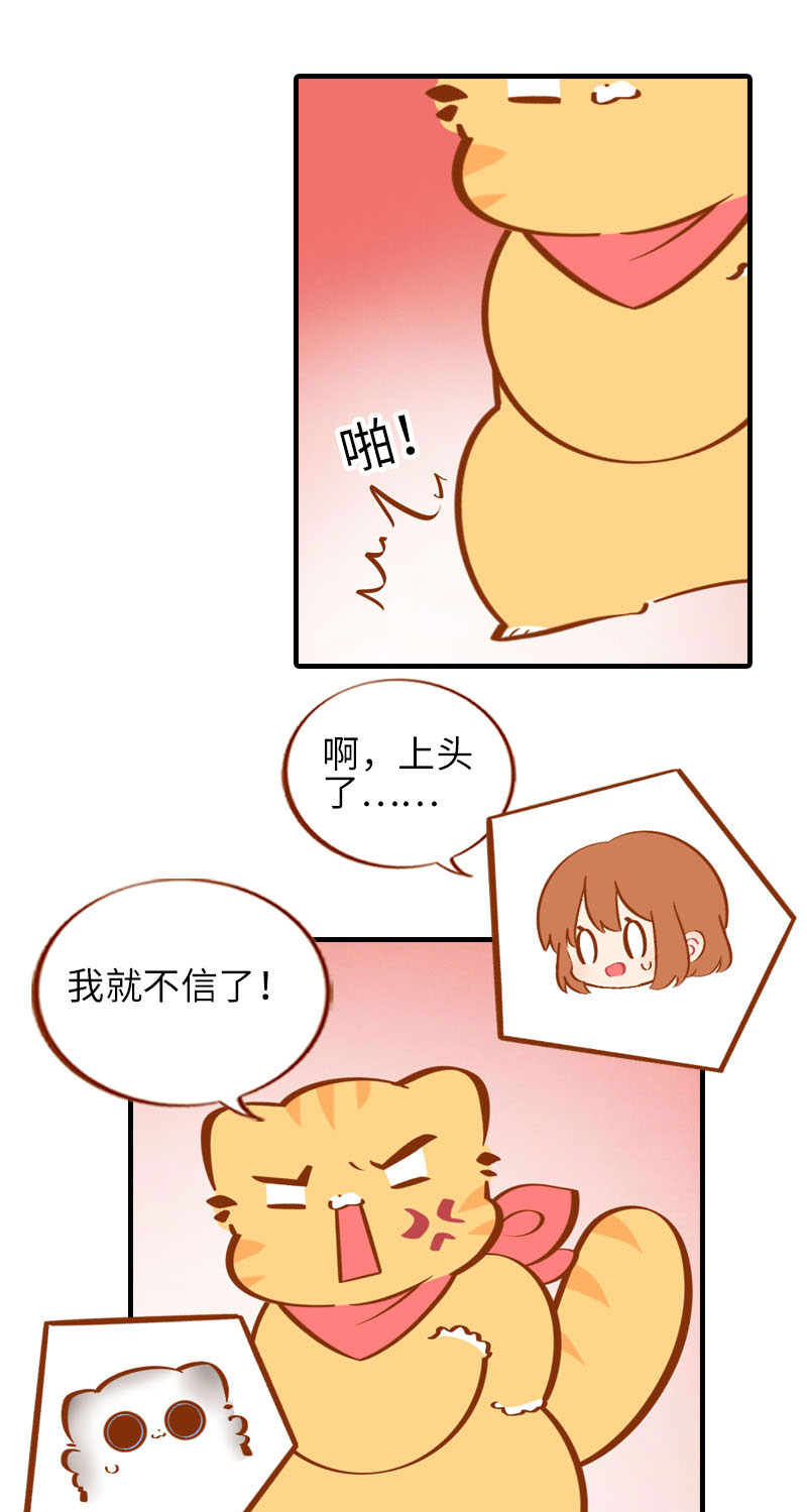 《猫咪的人类饲养指南》第38话 抽个盲盒 第8页