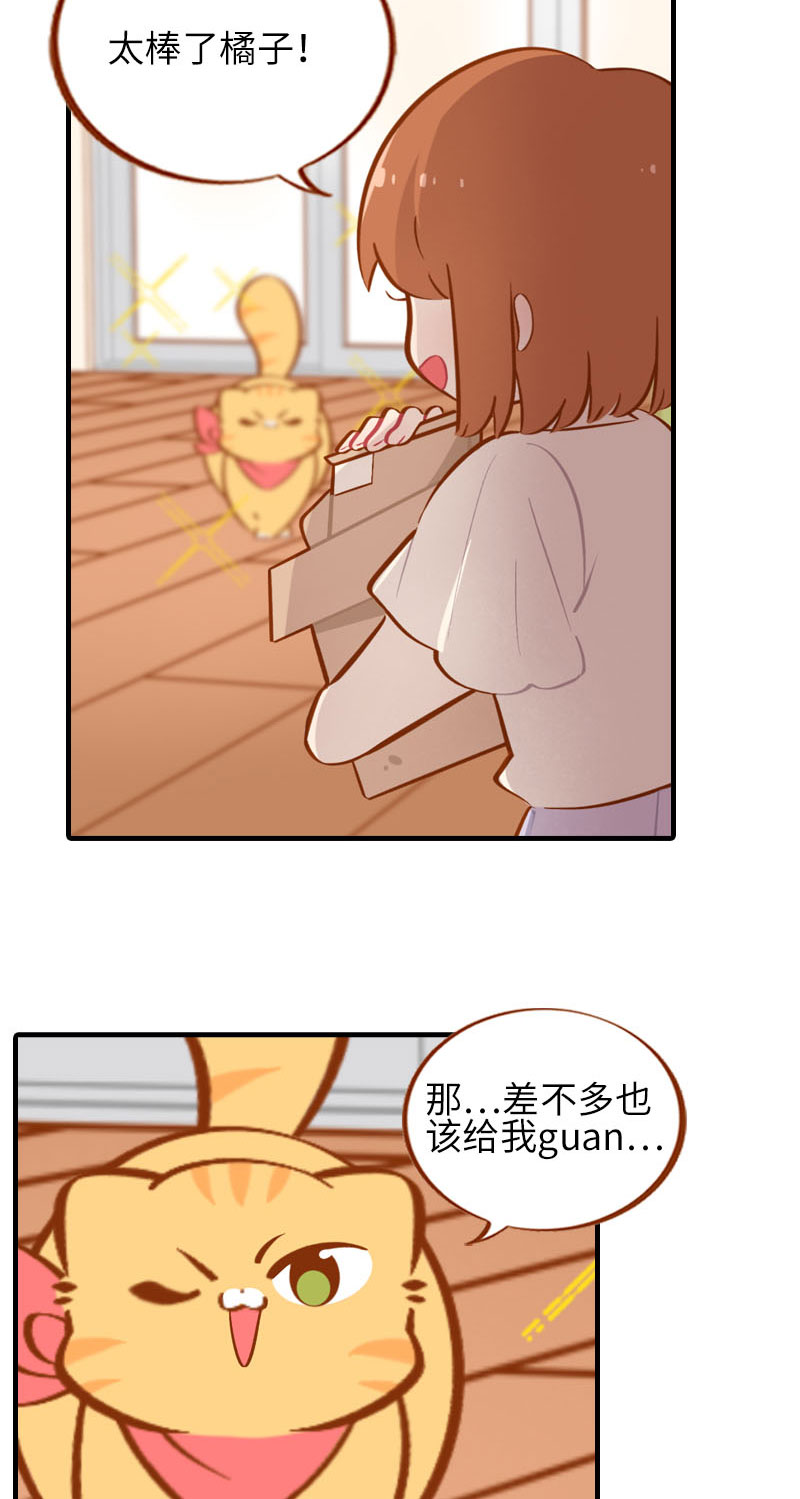 《猫咪的人类饲养指南》第37话 最没排面的男主人 第10页