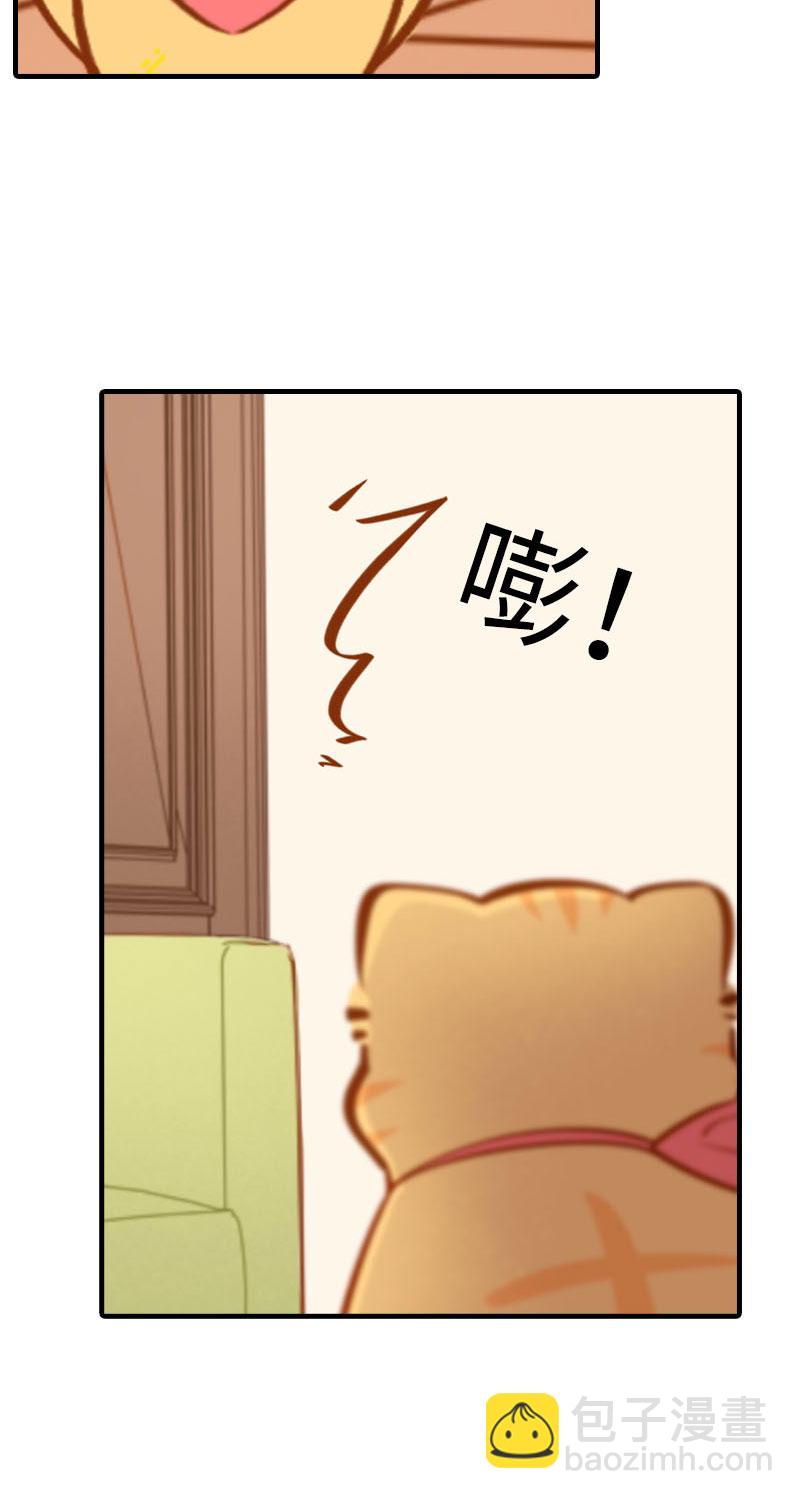 《猫咪的人类饲养指南》第37话 最没排面的男主人 第11页