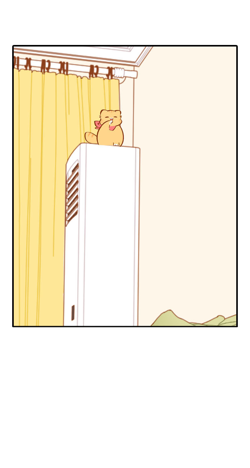 《猫咪的人类饲养指南》第37话 最没排面的男主人 第2页