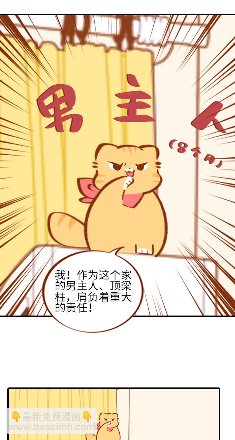 《猫咪的人类饲养指南》第37话 最没排面的男主人 第3页