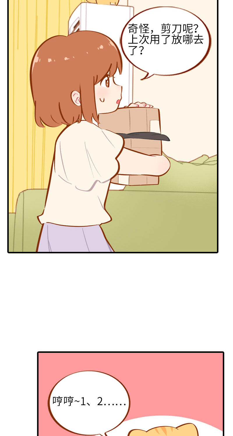 《猫咪的人类饲养指南》第37话 最没排面的男主人 第4页