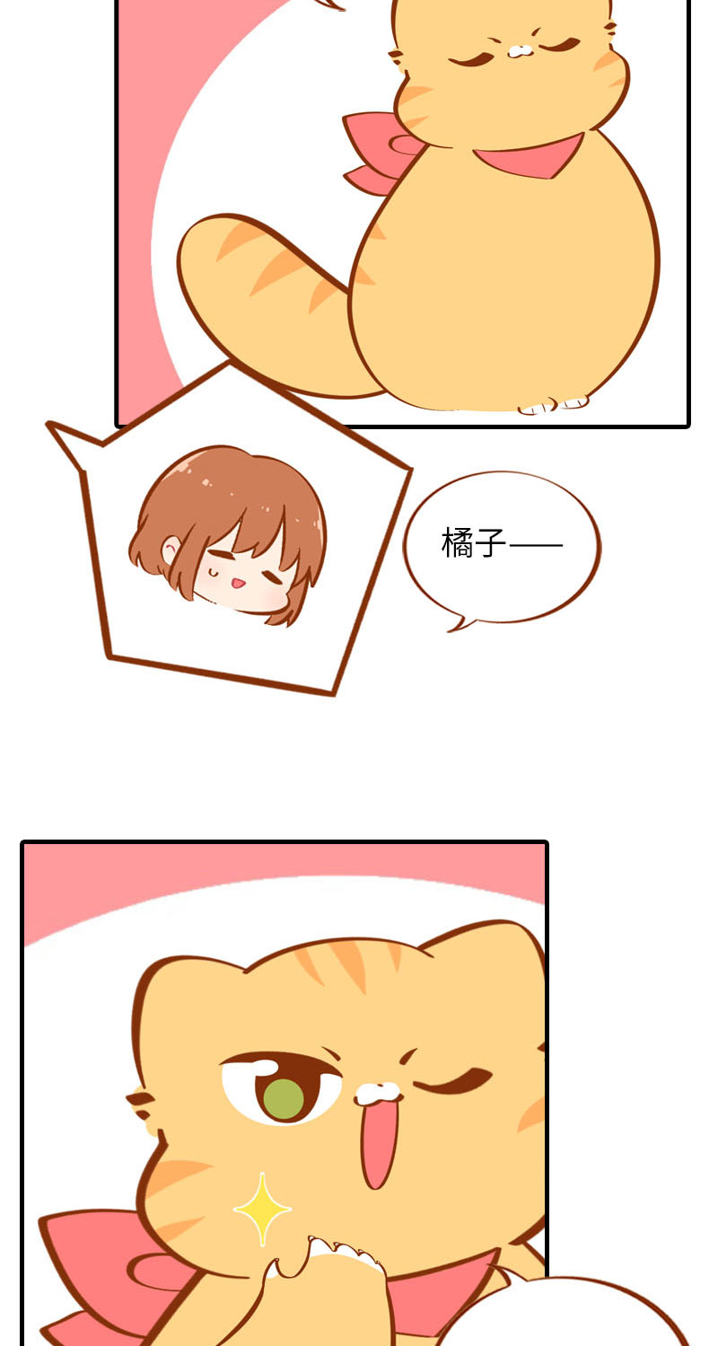 《猫咪的人类饲养指南》第37话 最没排面的男主人 第5页