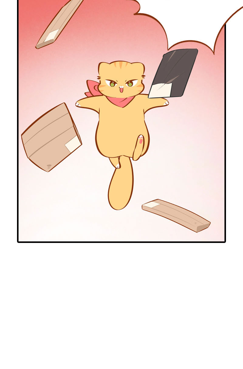 《猫咪的人类饲养指南》第37话 最没排面的男主人 第7页