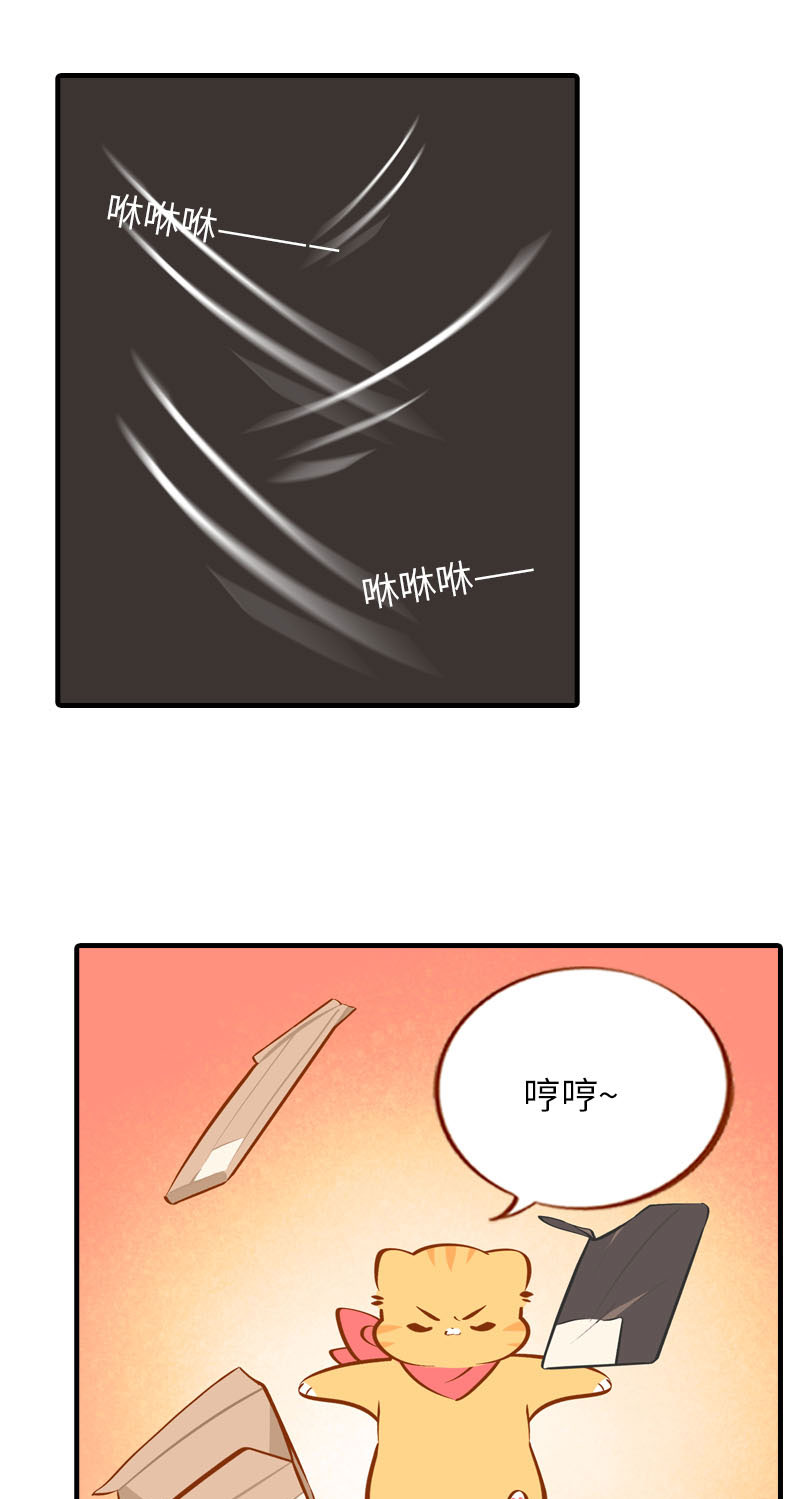 《猫咪的人类饲养指南》第37话 最没排面的男主人 第8页