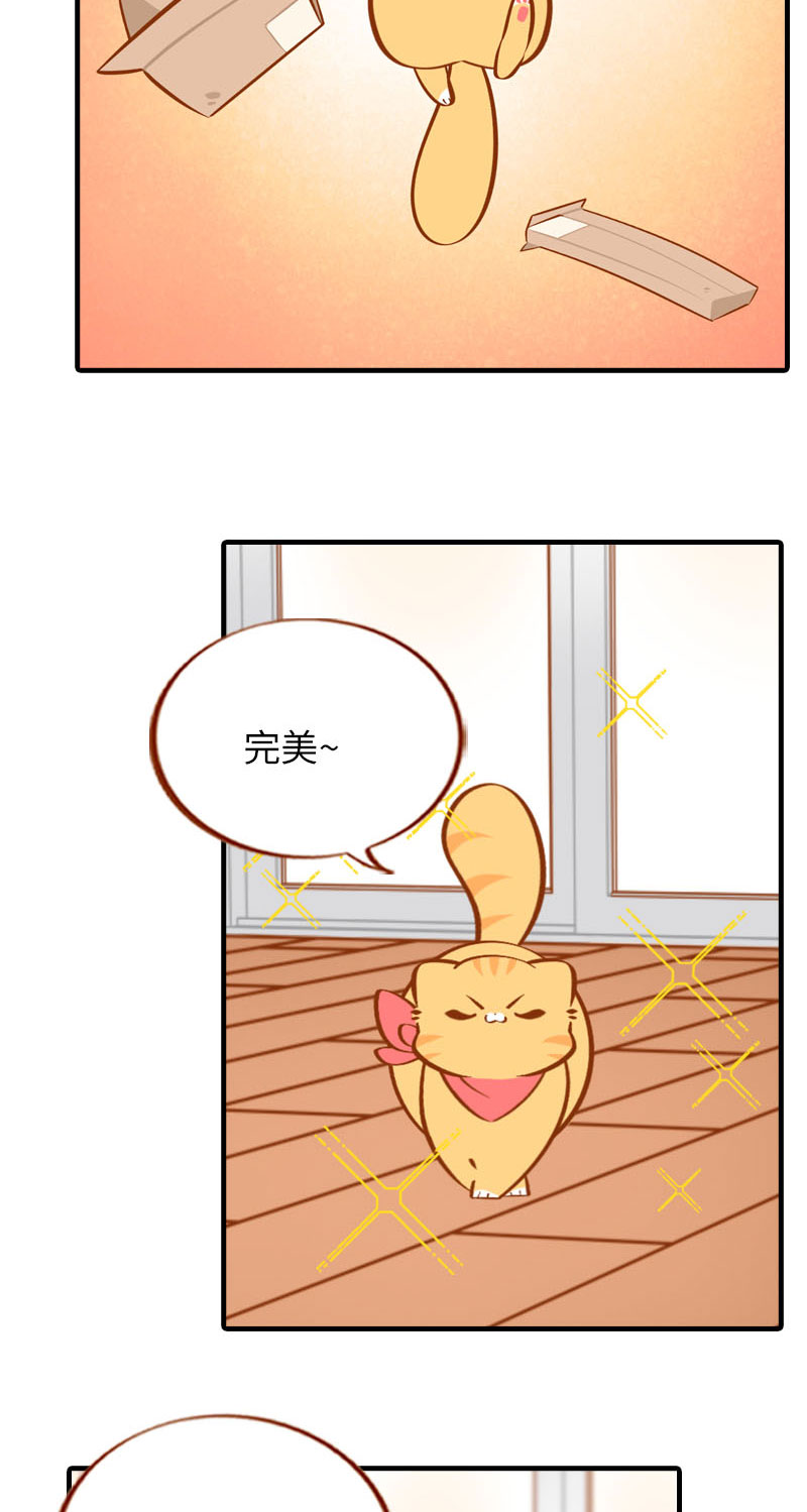 《猫咪的人类饲养指南》第37话 最没排面的男主人 第9页