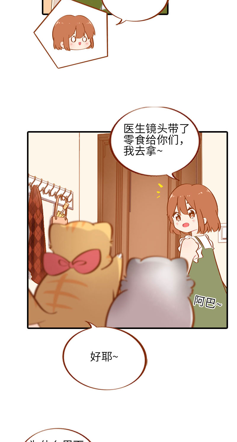 《猫咪的人类饲养指南》第42话 我又回来了 第10页
