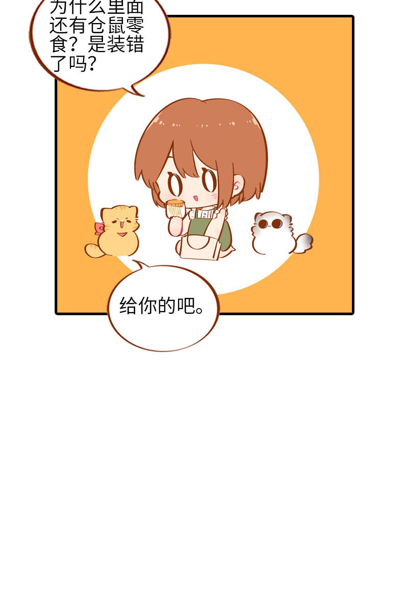 《猫咪的人类饲养指南》第42话 我又回来了 第11页