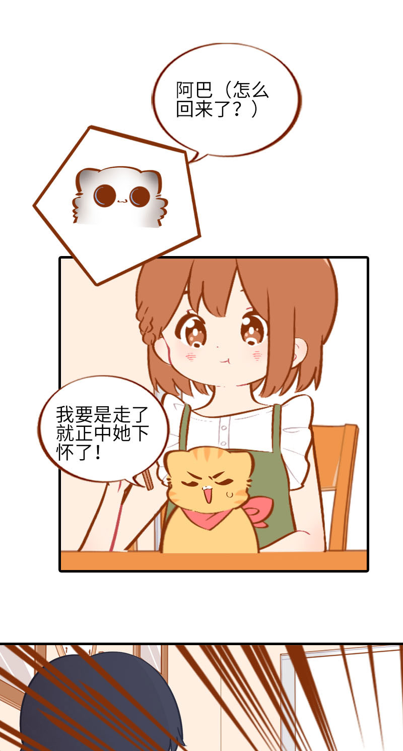 《猫咪的人类饲养指南》第42话 我又回来了 第2页