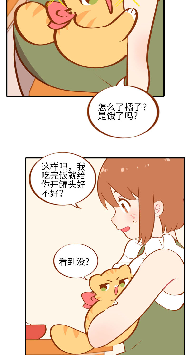 《猫咪的人类饲养指南》第42话 我又回来了 第4页
