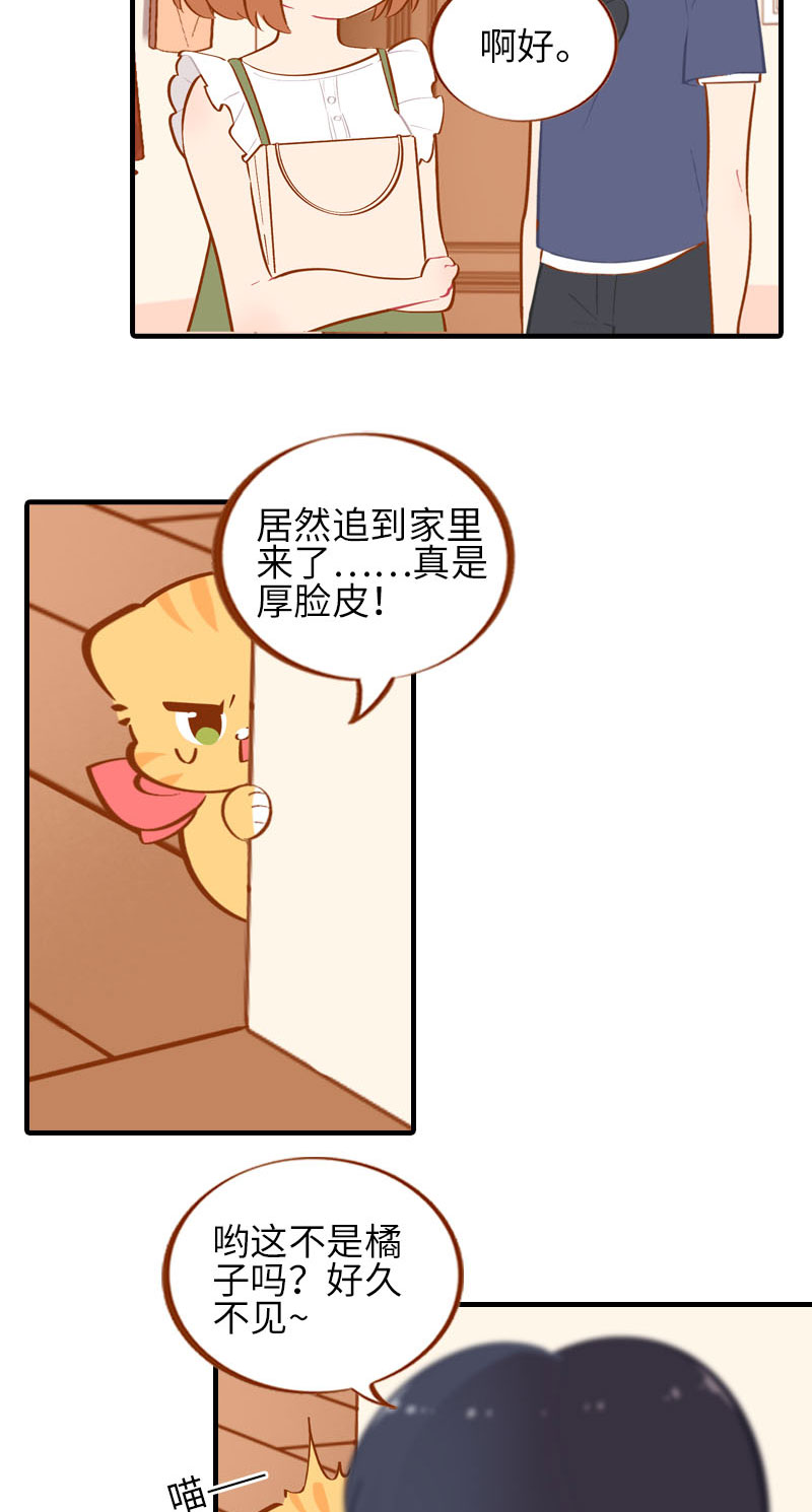 《猫咪的人类饲养指南》第41话 我失宠了我要离家出走！ 第3页