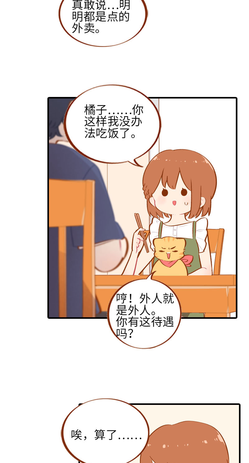 《猫咪的人类饲养指南》第41话 我失宠了我要离家出走！ 第6页