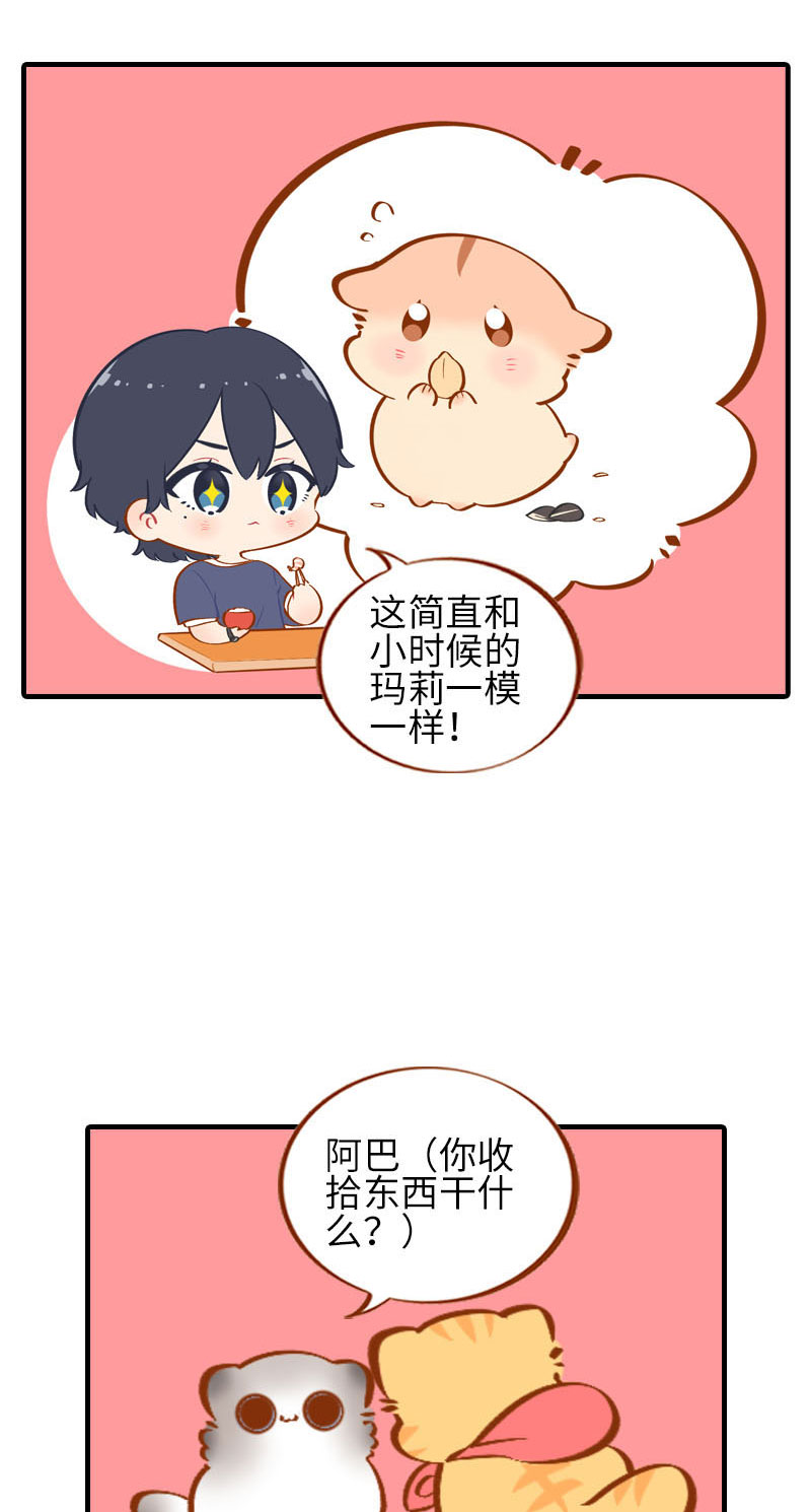 《猫咪的人类饲养指南》第41话 我失宠了我要离家出走！ 第9页