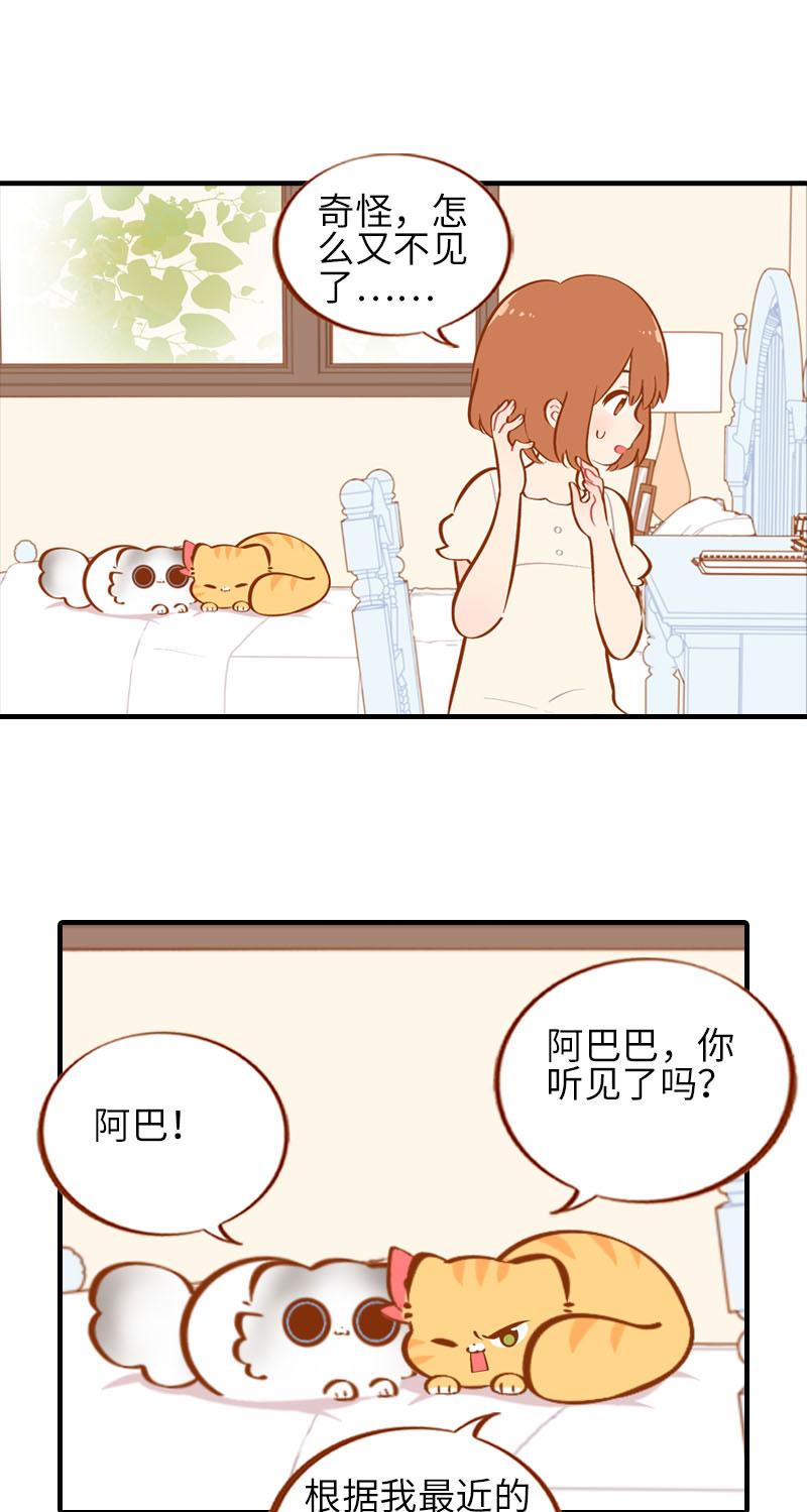 《猫咪的人类饲养指南》第39话 收手吧阿橘！ 第2页