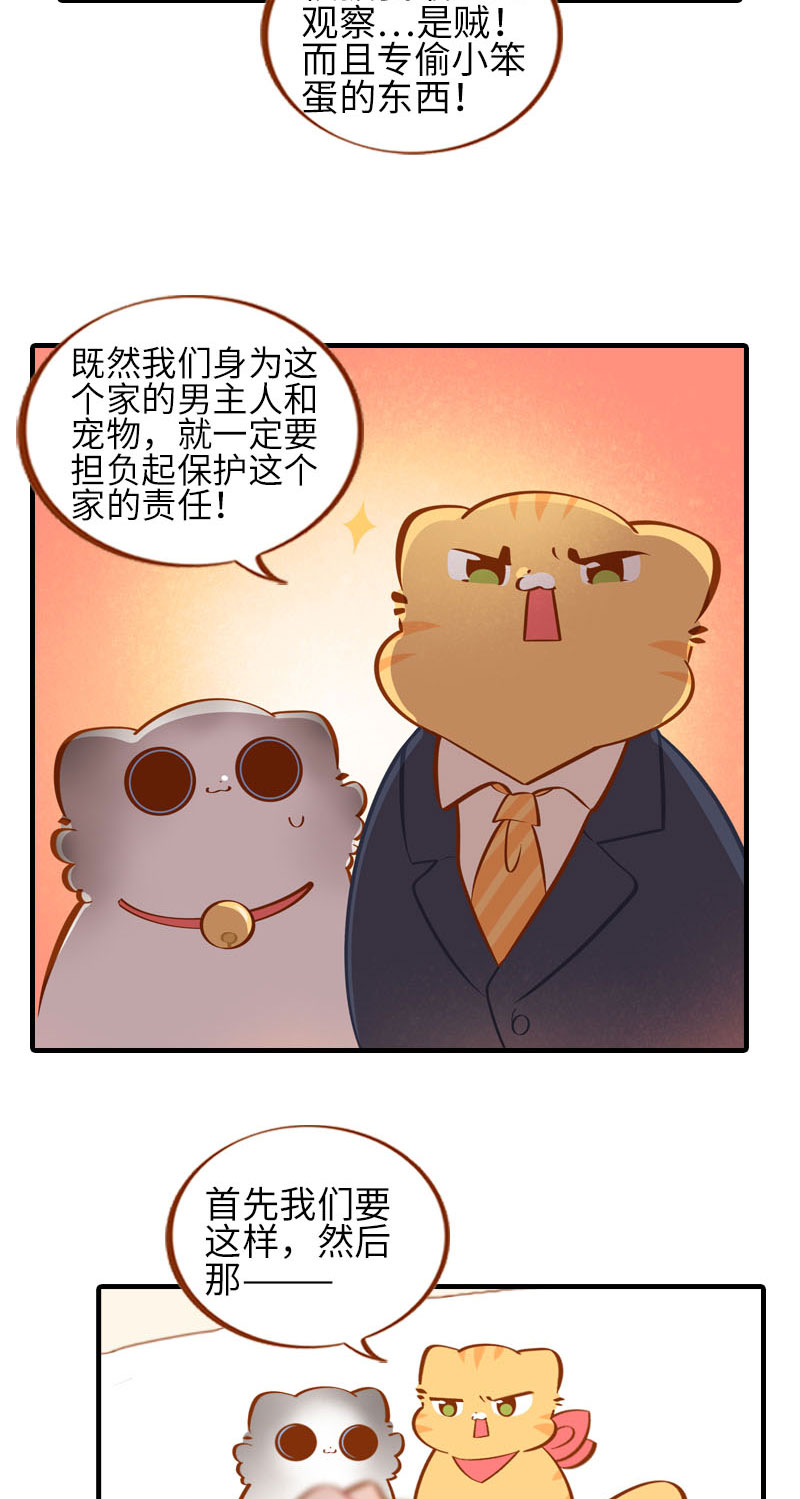 《猫咪的人类饲养指南》第39话 收手吧阿橘！ 第3页