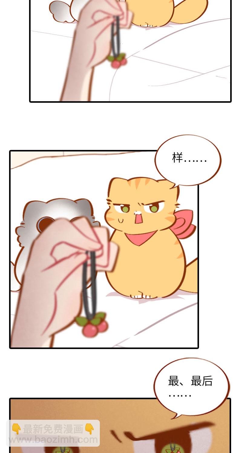 《猫咪的人类饲养指南》第39话 收手吧阿橘！ 第4页