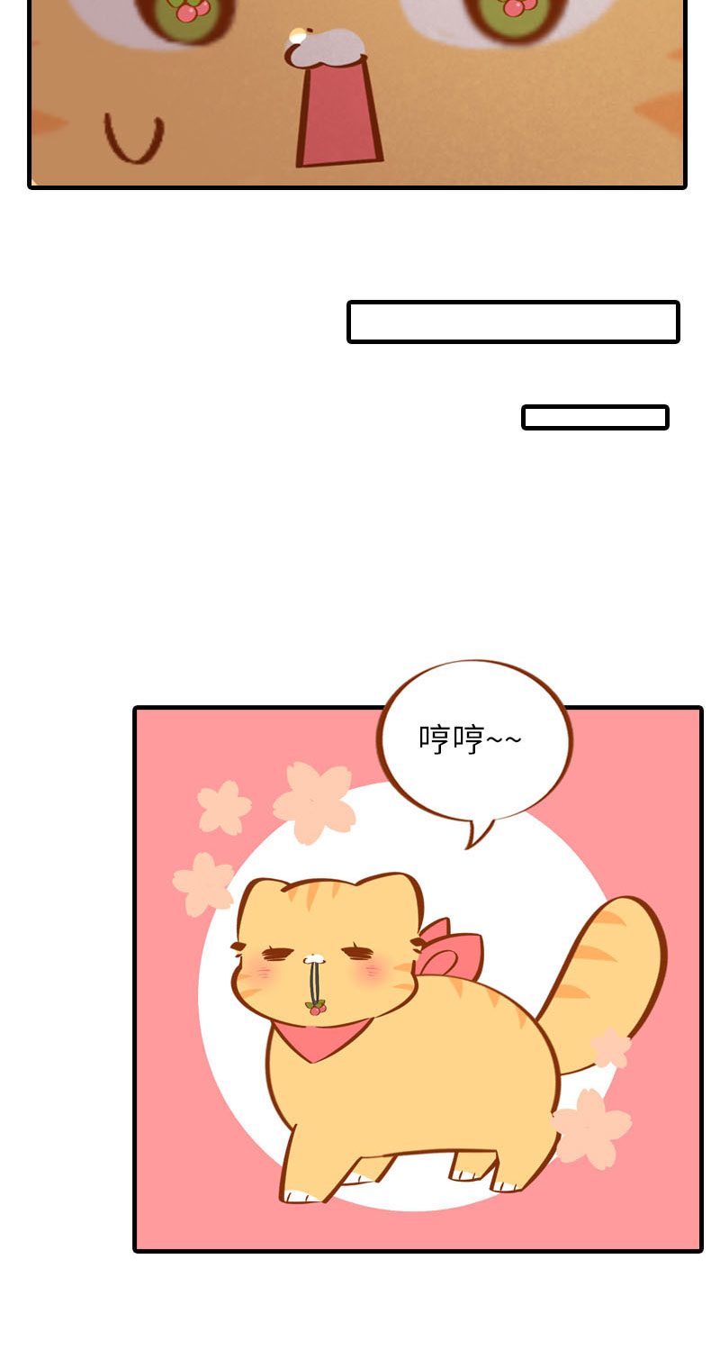 《猫咪的人类饲养指南》第39话 收手吧阿橘！ 第5页