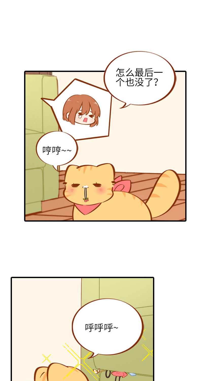 《猫咪的人类饲养指南》第39话 收手吧阿橘！ 第6页