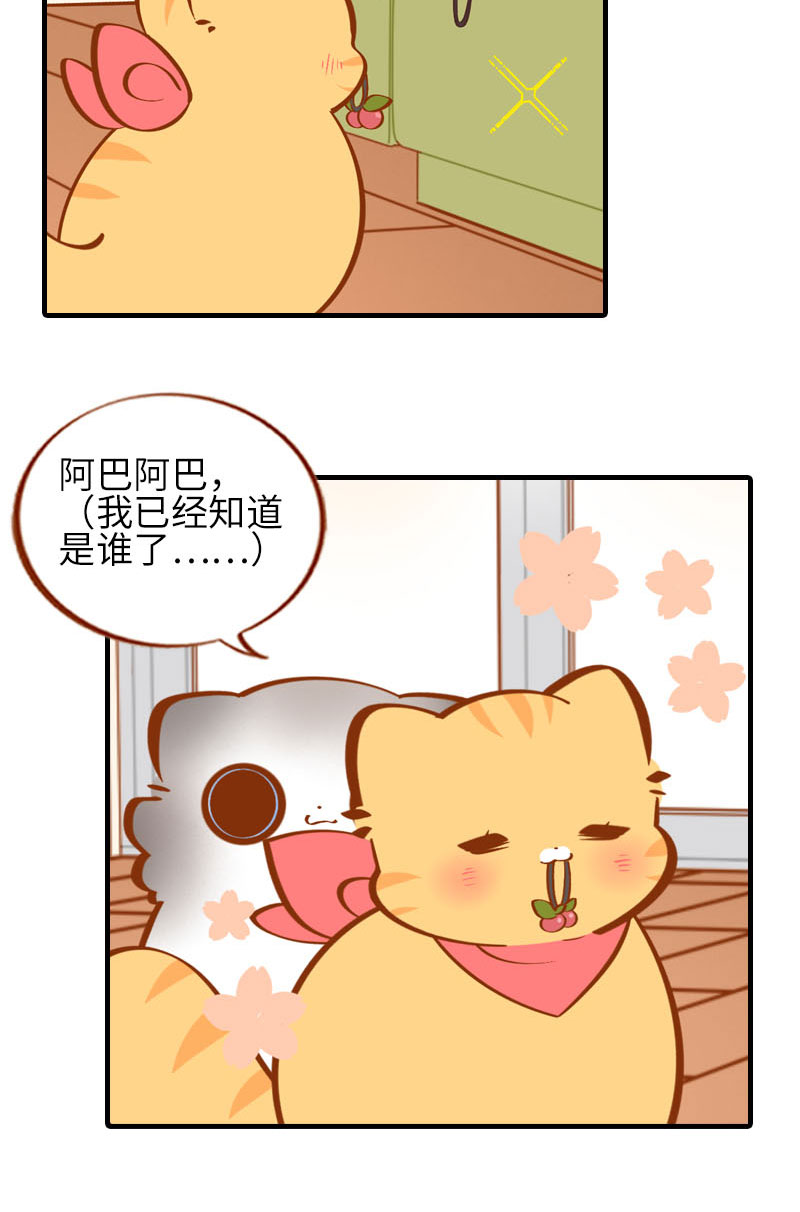 《猫咪的人类饲养指南》第39话 收手吧阿橘！ 第7页