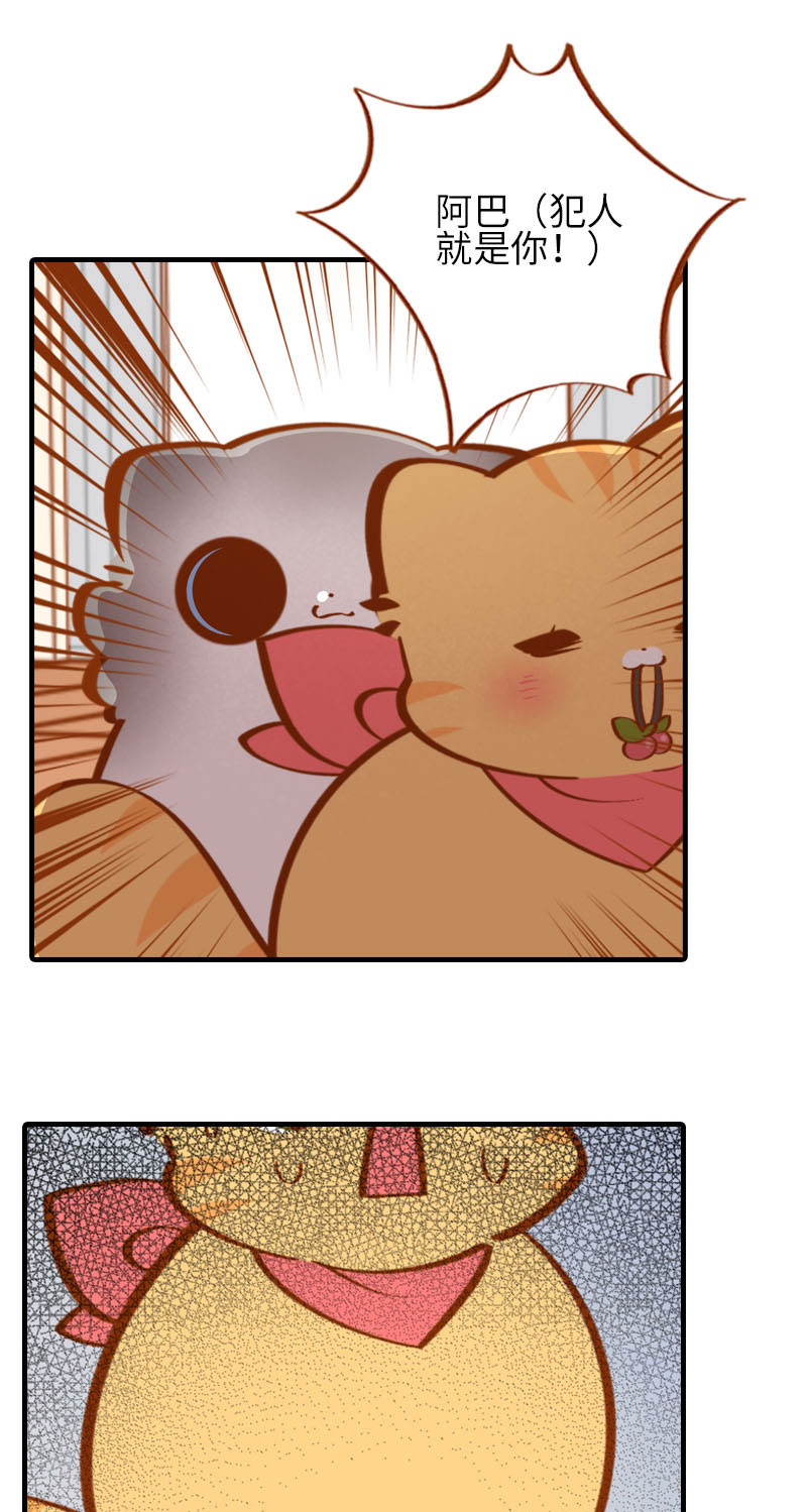 《猫咪的人类饲养指南》第39话 收手吧阿橘！ 第8页
