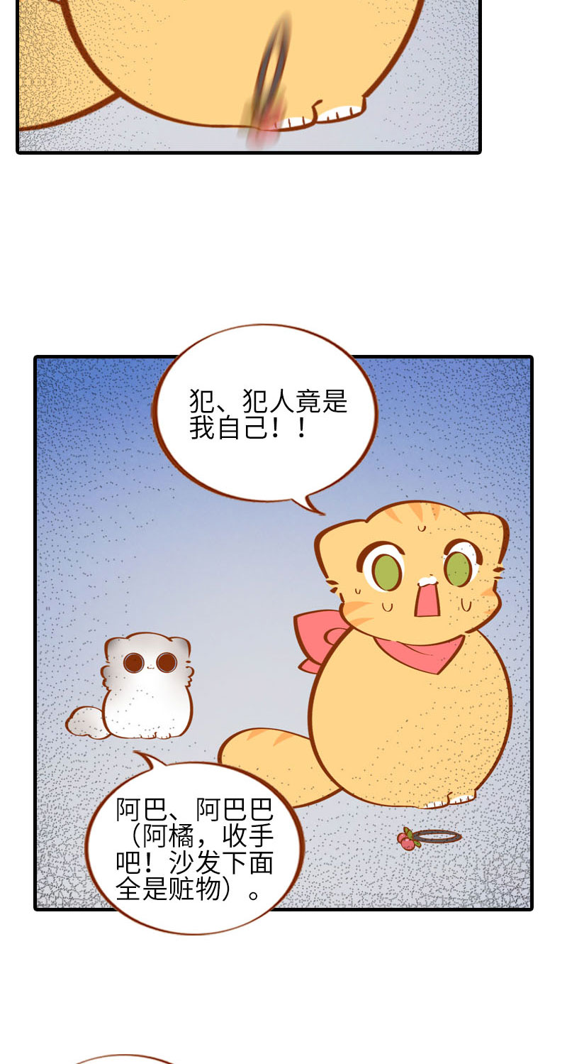 《猫咪的人类饲养指南》第39话 收手吧阿橘！ 第9页