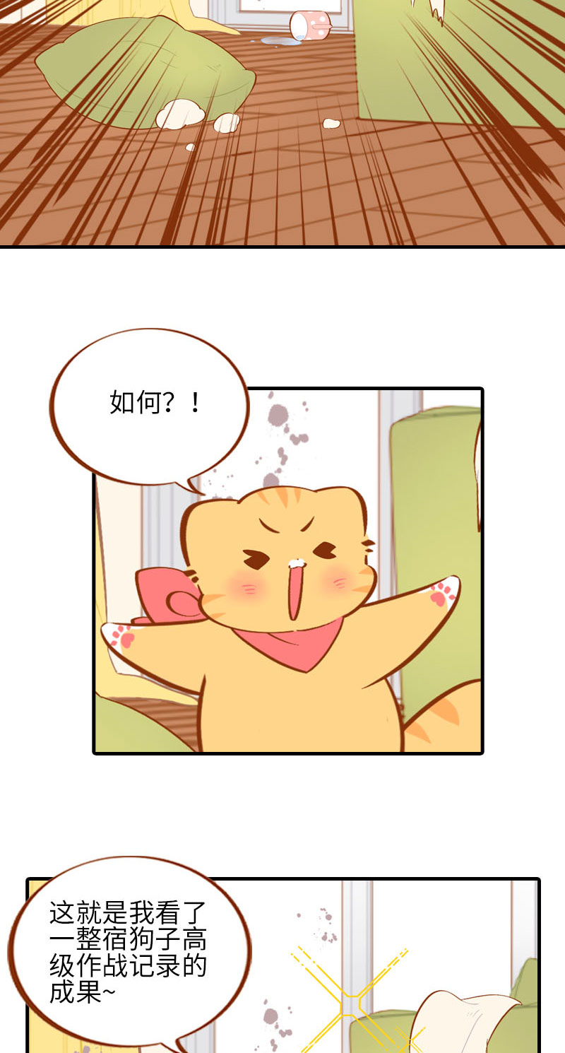 《猫咪的人类饲养指南》第40话 养狗一日体验 第10页