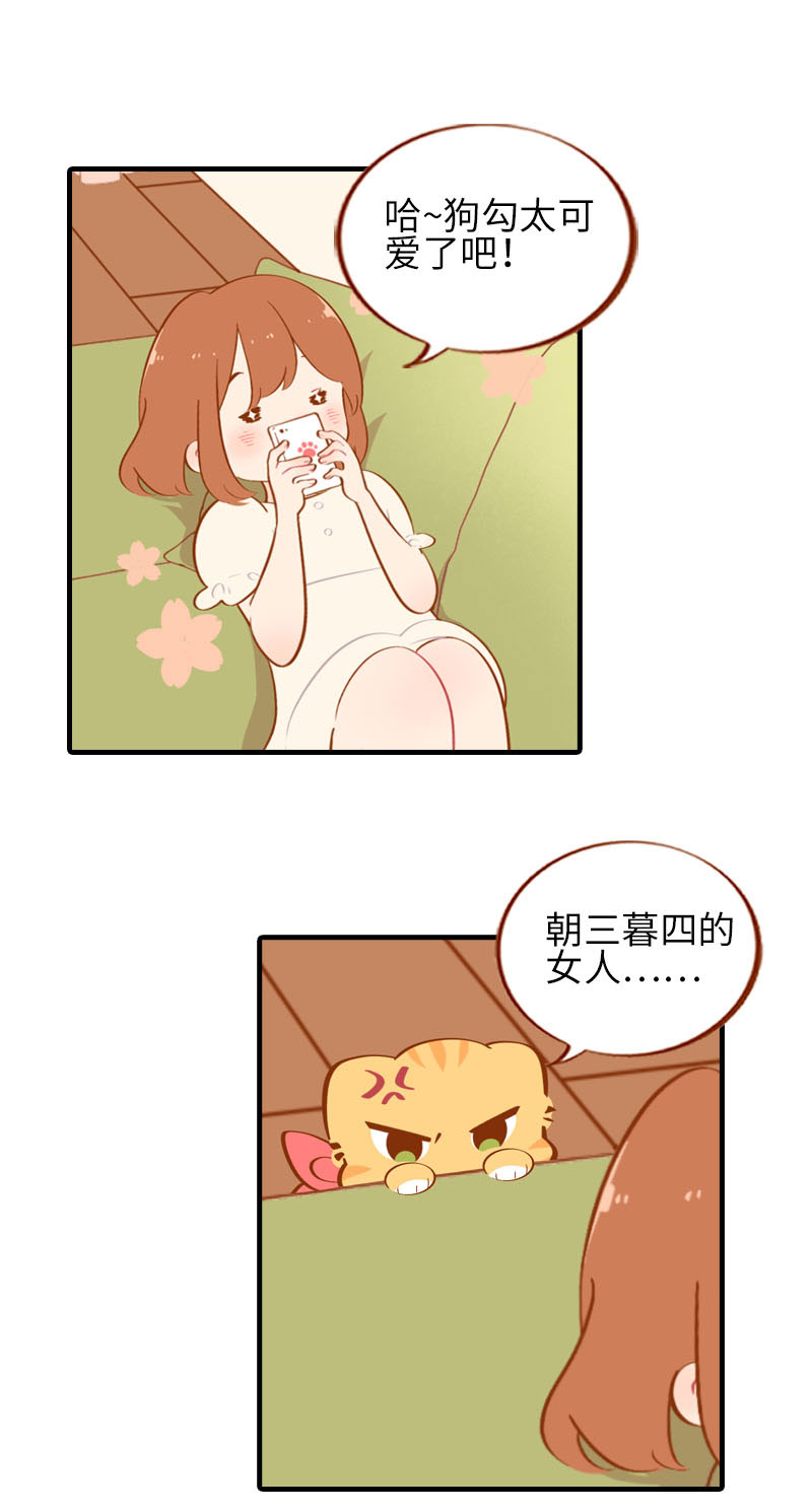 《猫咪的人类饲养指南》第40话 养狗一日体验 第2页