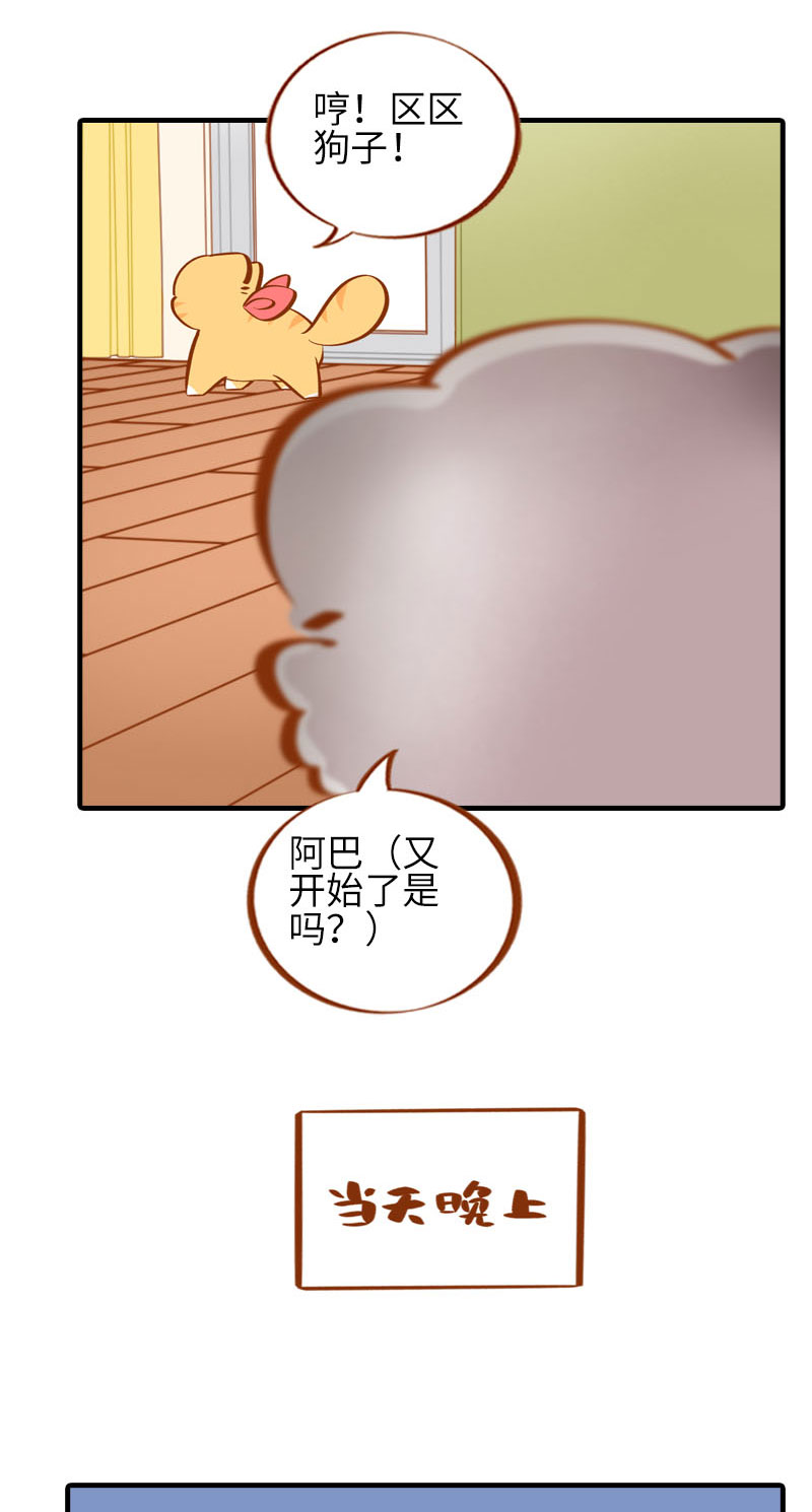 《猫咪的人类饲养指南》第40话 养狗一日体验 第3页