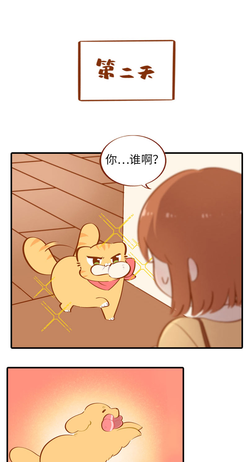 《猫咪的人类饲养指南》第40话 养狗一日体验 第5页