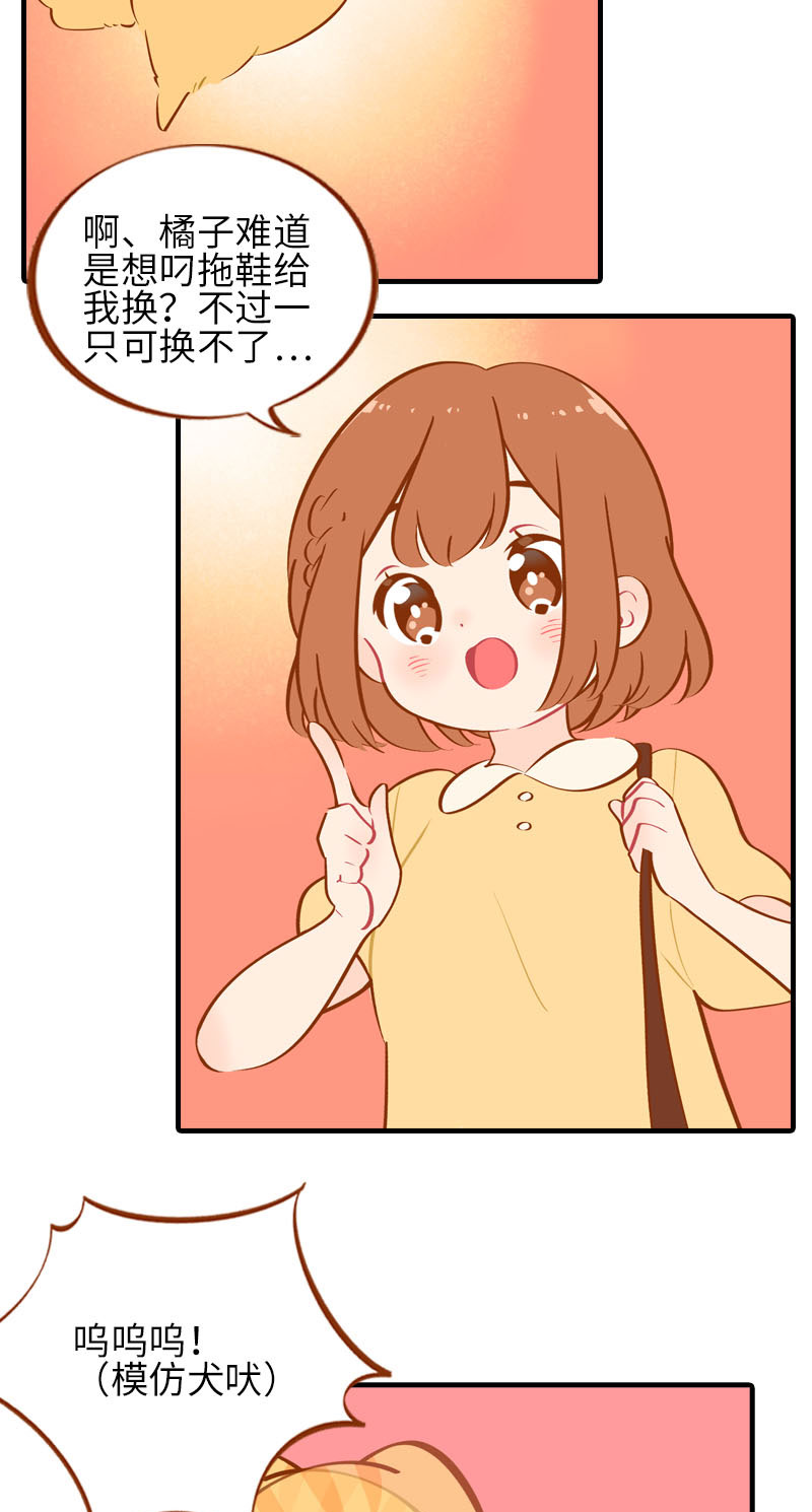 《猫咪的人类饲养指南》第40话 养狗一日体验 第6页