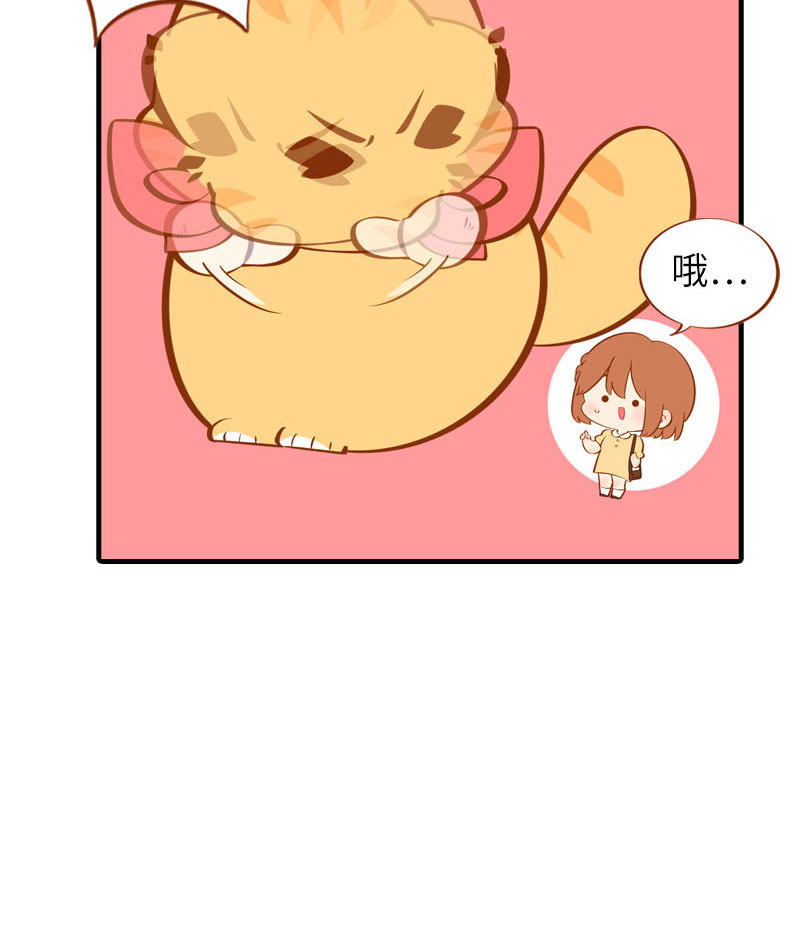 《猫咪的人类饲养指南》第40话 养狗一日体验 第7页