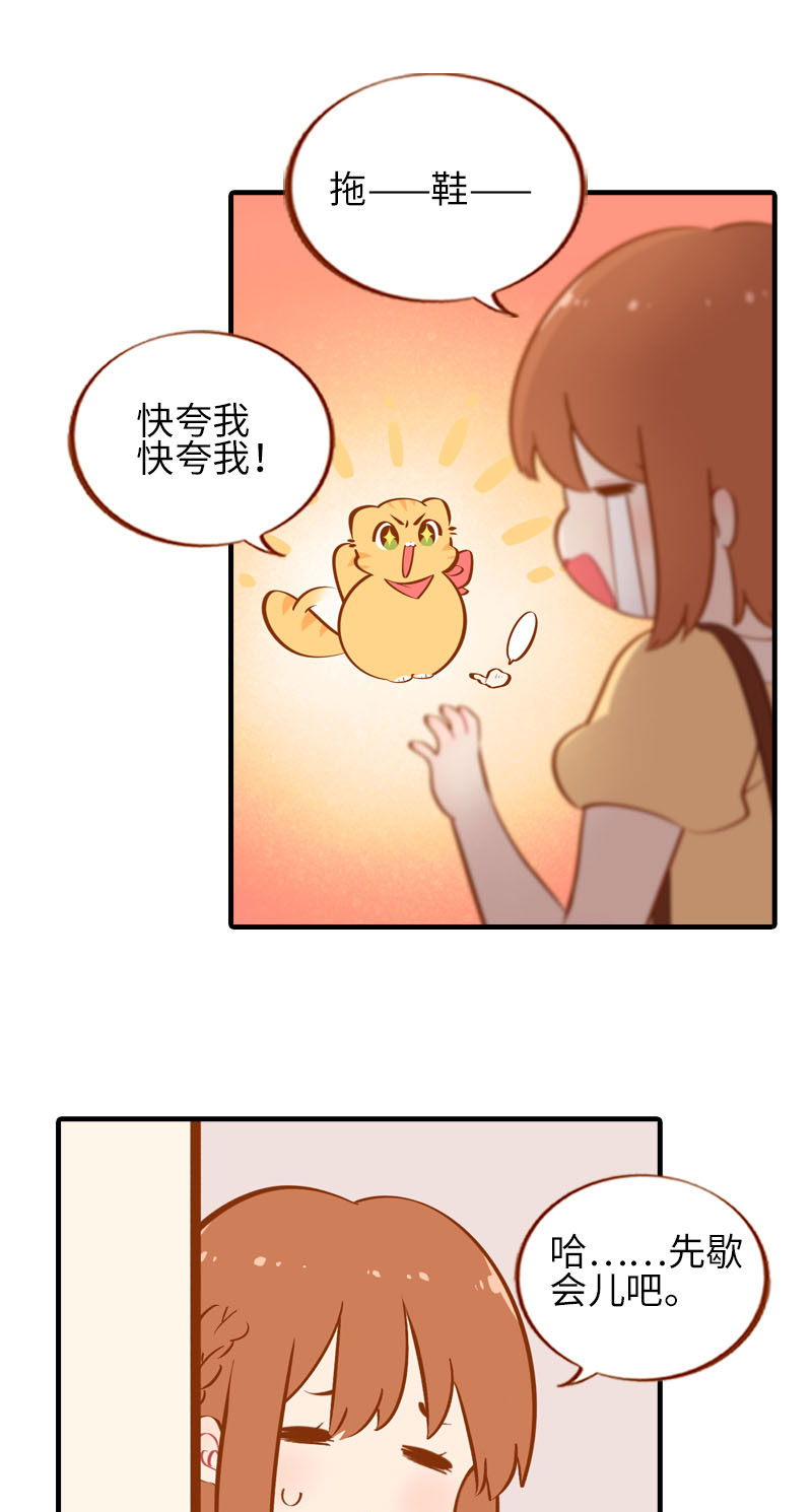 《猫咪的人类饲养指南》第40话 养狗一日体验 第8页