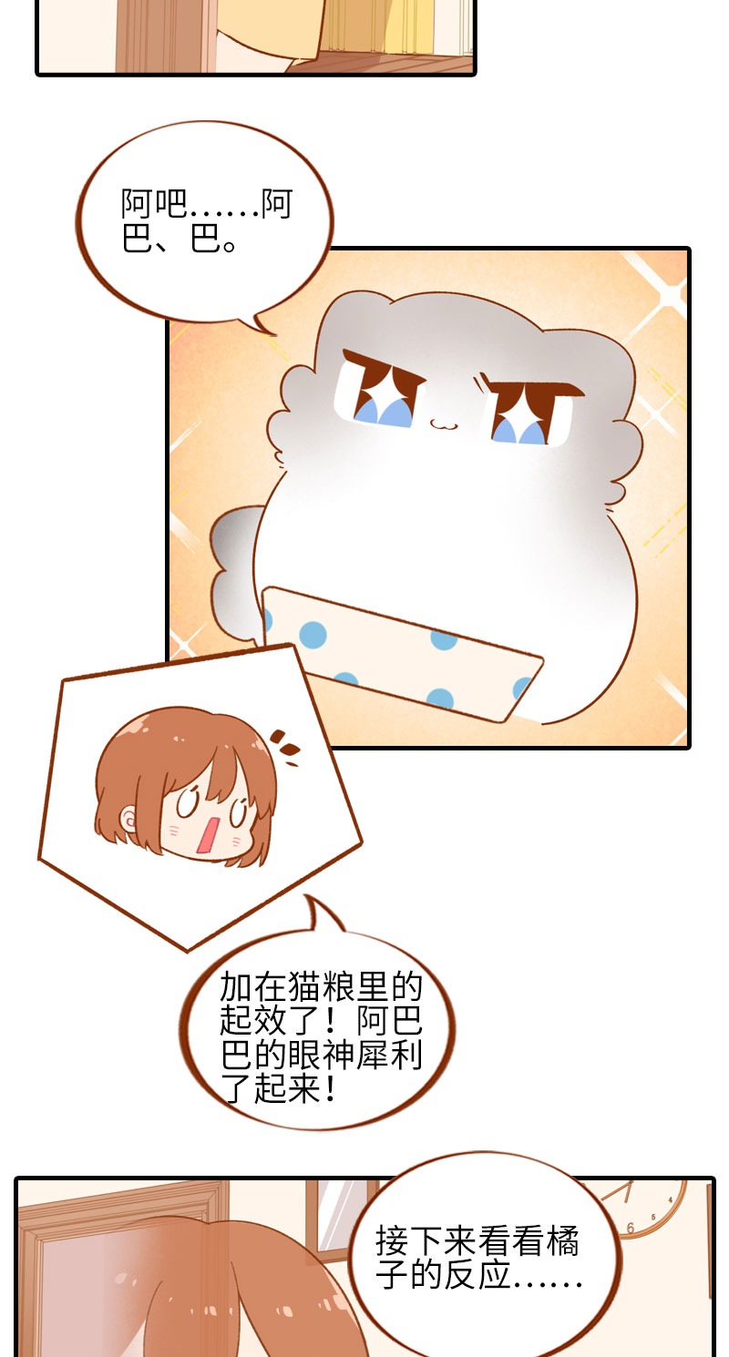 《猫咪的人类饲养指南》第46话 来一口猫薄荷 第3页