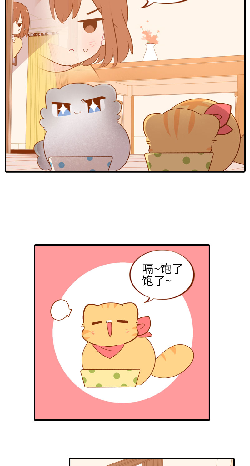《猫咪的人类饲养指南》第46话 来一口猫薄荷 第4页