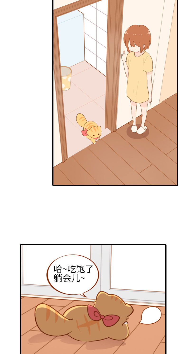 《猫咪的人类饲养指南》第46话 来一口猫薄荷 第5页