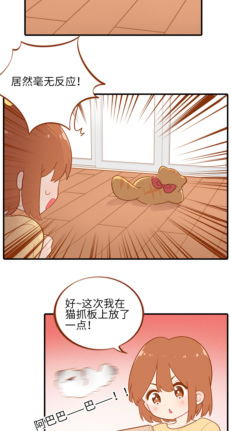 《猫咪的人类饲养指南》第46话 来一口猫薄荷 第6页