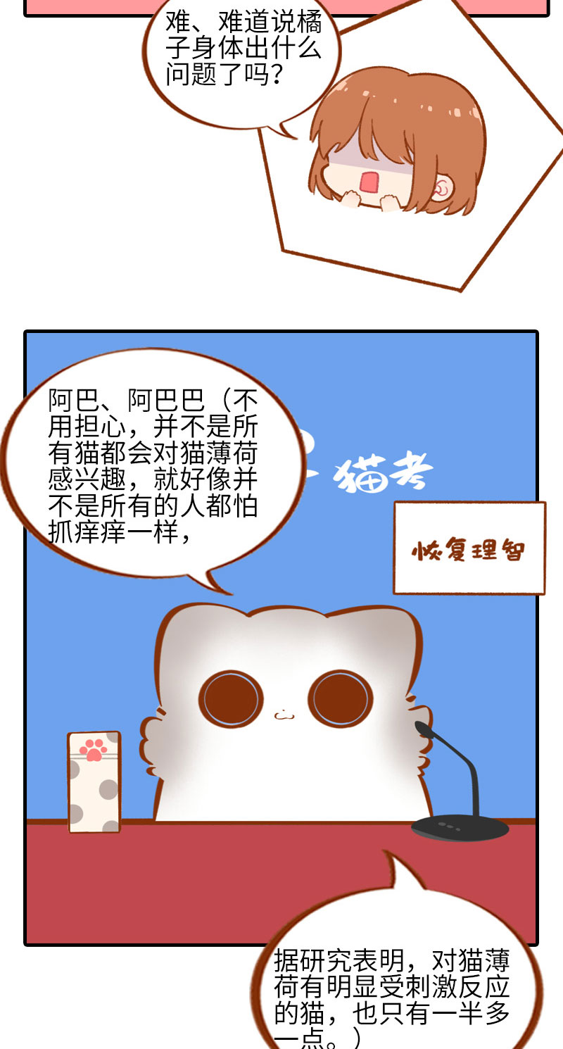 《猫咪的人类饲养指南》第46话 来一口猫薄荷 第9页